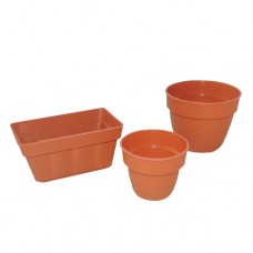 Mini Vasos